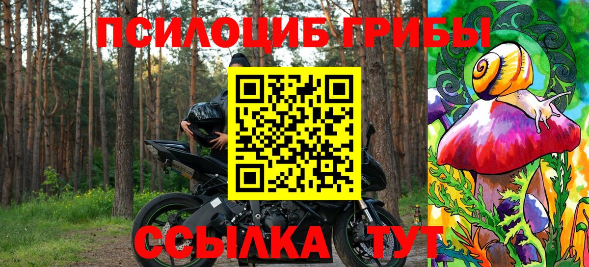 Псилоцибиновые грибы MAGIC MUSHROOMS Удомля